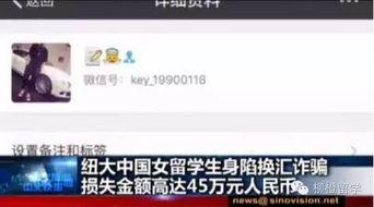 独家爆料官网,揭秘幕后真相，一探究竟！